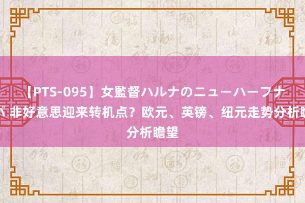 【PTS-095】女監督ハルナのニューハーフナンパ 非好意思迎来转机点？欧元、英镑、纽元走势分析瞻望