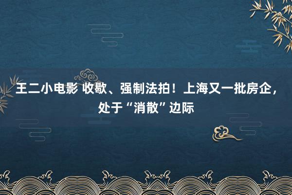 王二小电影 收歇、强制法拍！上海又一批房企，处于“消散”边际