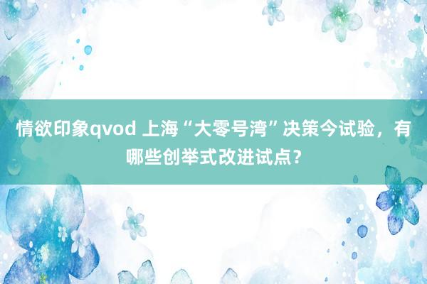 情欲印象qvod 上海“大零号湾”决策今试验，有哪些创举式改进试点？