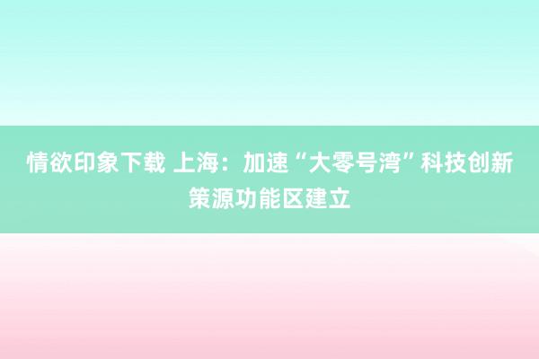 情欲印象下载 上海：加速“大零号湾”科技创新策源功能区建立