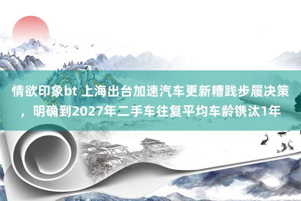 情欲印象bt 上海出台加速汽车更新糟践步履决策，明确到2027年二手车往复平均车龄镌汰1年