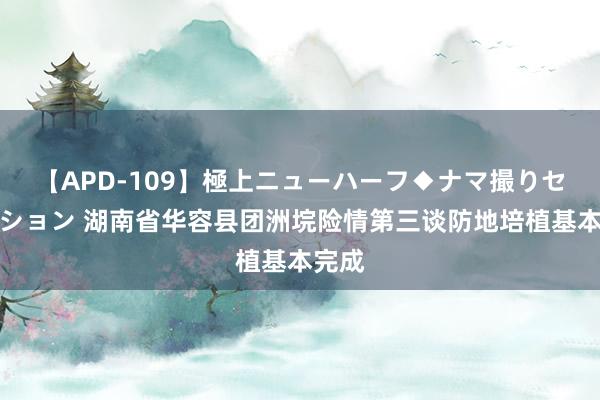 【APD-109】極上ニューハーフ◆ナマ撮りセレクション 湖南省华容县团洲垸险情第三谈防地培植基本完成