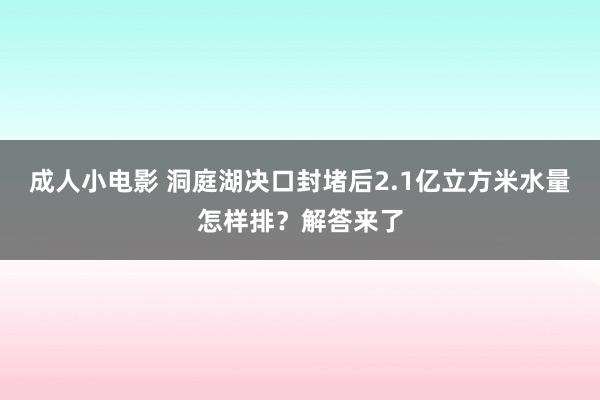 成人小电影 洞庭湖决口封堵后2.1亿立方米水量怎样排？解答来了