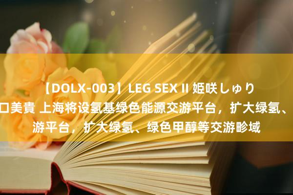 【DOLX-003】LEG SEX II 姫咲しゅり ゆりあ 眞雪ゆん 江口美貴 上海将设氢基绿色能源交游平台，扩大绿氢、绿色甲醇等交游畛域