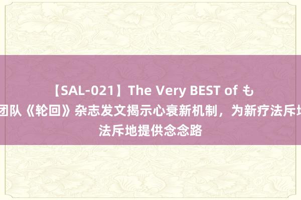 【SAL-021】The Very BEST of もえ 瑞金病院团队《轮回》杂志发文揭示心衰新机制，为新疗法斥地提供念念路