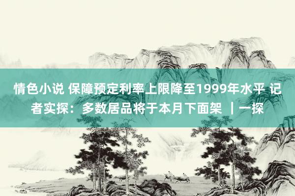 情色小说 保障预定利率上限降至1999年水平 记者实探：多数居品将于本月下面架 ｜一探