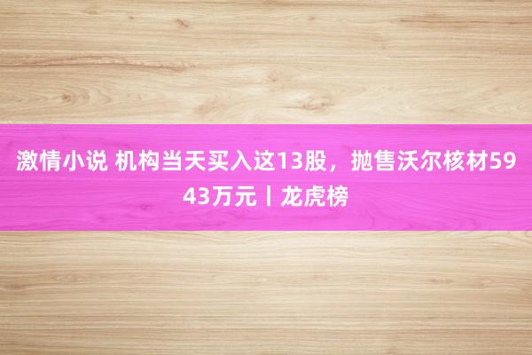 激情小说 机构当天买入这13股，抛售沃尔核材5943万元丨龙虎榜