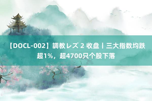 【DOCL-002】調教レズ 2 收盘丨三大指数均跌超1%，超4700只个股下落