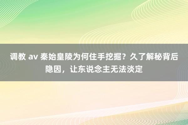 调教 av 秦始皇陵为何住手挖掘？久了解秘背后隐因，让东说念主无法淡定