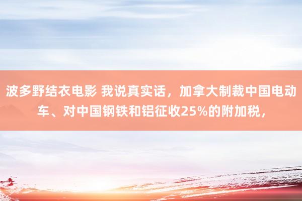 波多野结衣电影 我说真实话，加拿大制裁中国电动车、对中国钢铁和铝征收25%的附加税，