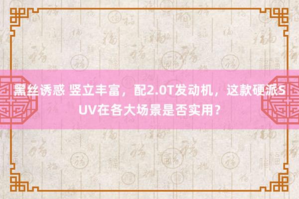 黑丝诱惑 竖立丰富，配2.0T发动机，这款硬派SUV在各大场景是否实用？