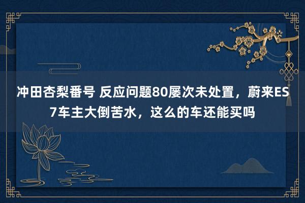 冲田杏梨番号 反应问题80屡次未处置，蔚来ES7车主大倒苦水，这么的车还能买吗