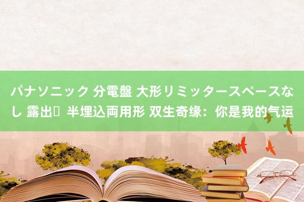 パナソニック 分電盤 大形リミッタースペースなし 露出・半埋込両用形 双生奇缘：你是我的气运